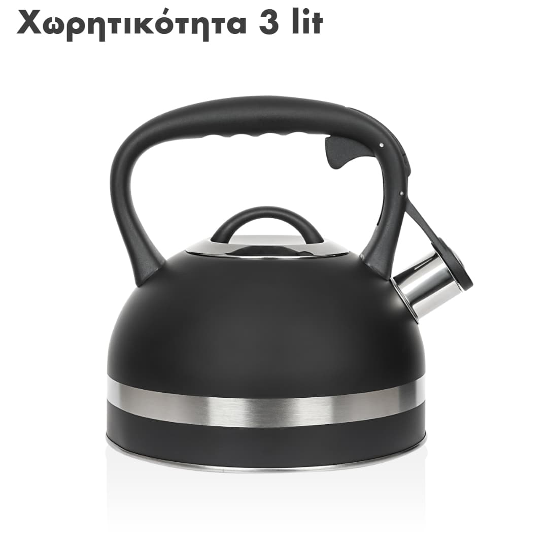 STAINLESS STEEL WHISTLING KETTLE 3L ZLN1283