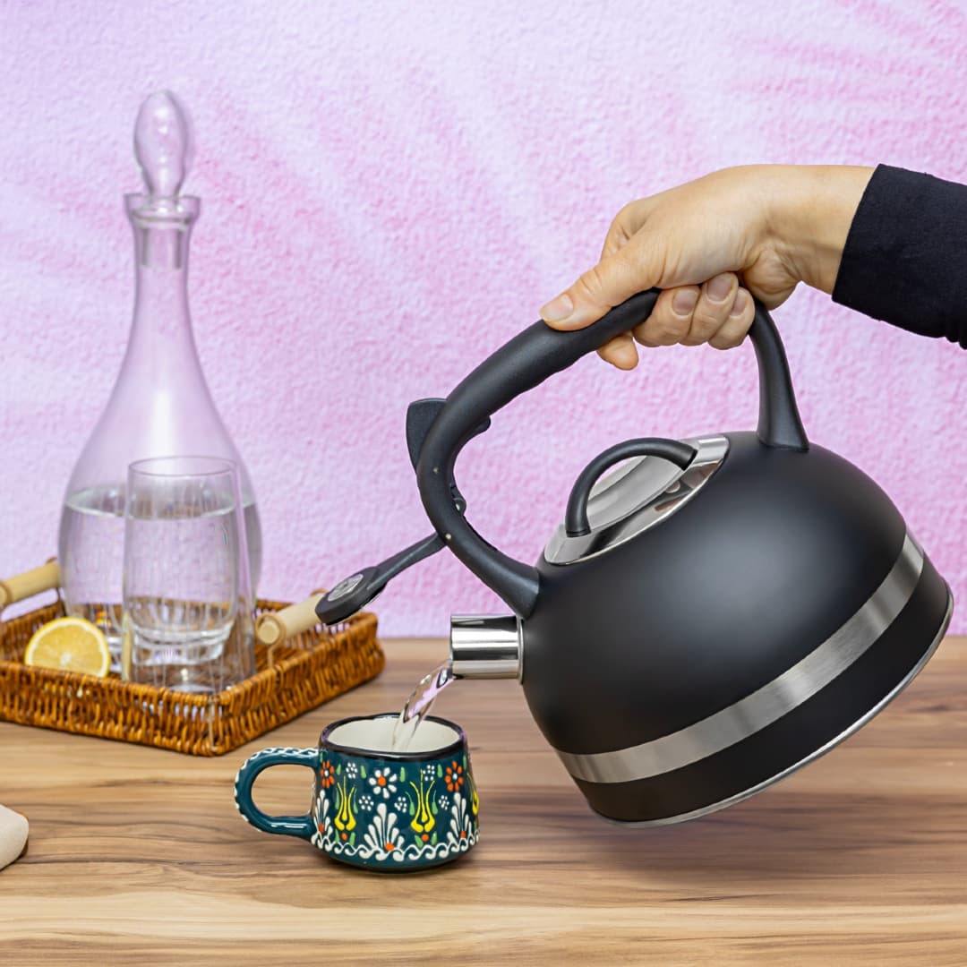 STAINLESS STEEL WHISTLING KETTLE 3L ZLN1283
