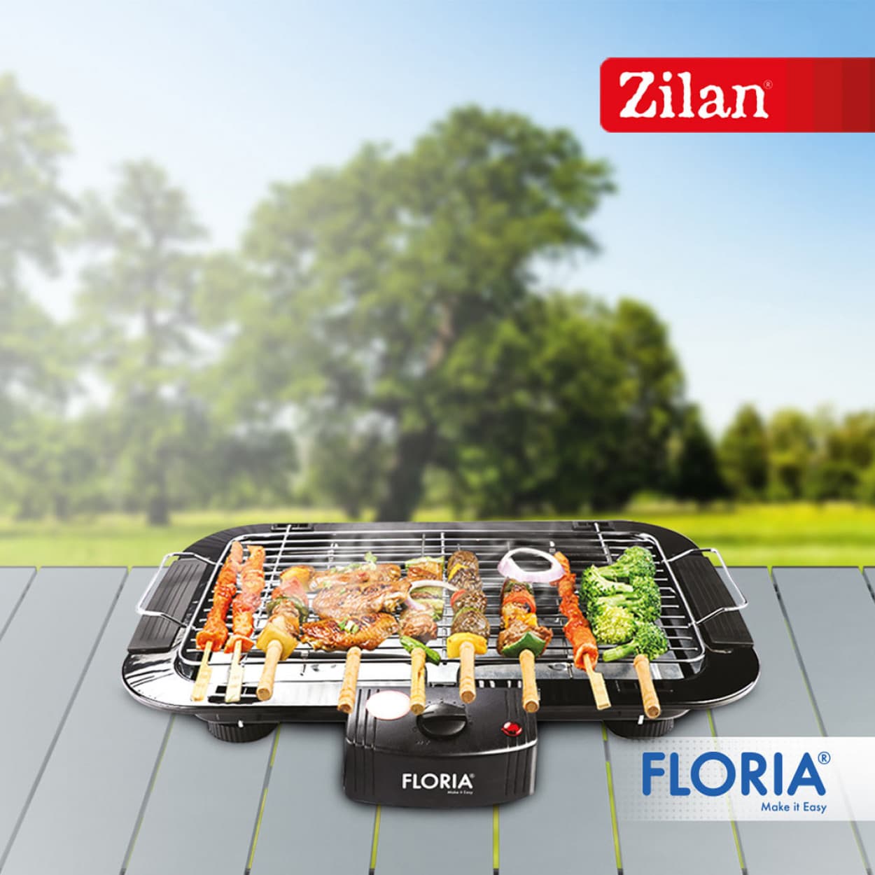 BARBEQUE GRILL 2000W ZLN2867