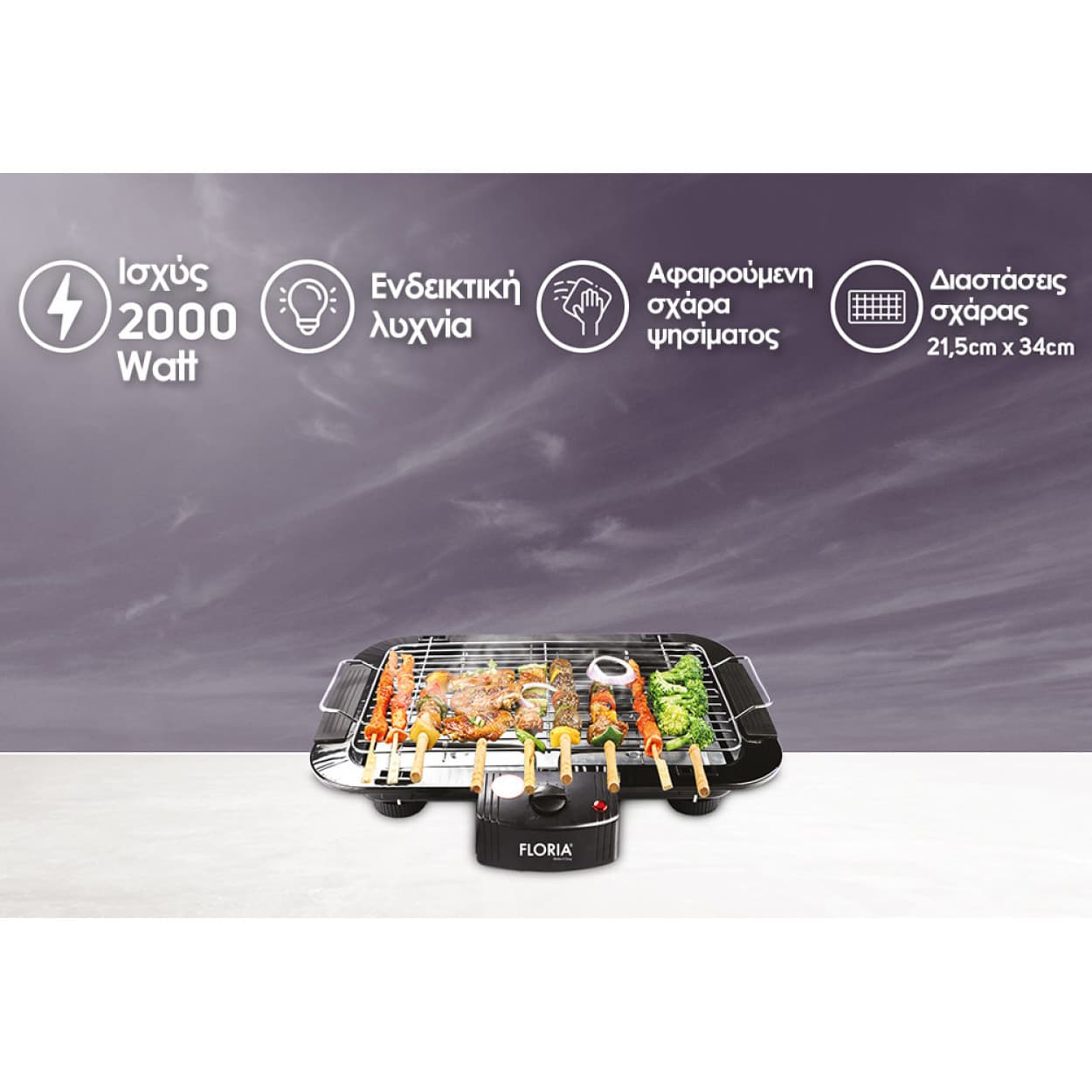 BARBEQUE GRILL 2000W ZLN2867